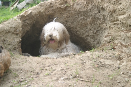 Wilma in ihrer Höhle