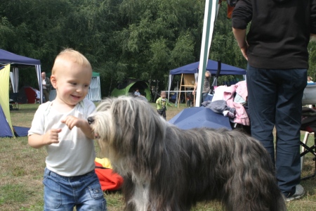 Sophies kleiner Bruder hatte großen Spaß beim Füttern der Hunde