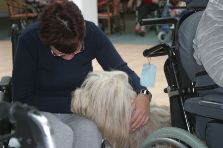 auch Tina lässt sich gern kuscheln - im Pflegeheim mit Senioren
