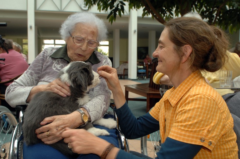 Therapiehund im Einsatz im Seniorenheim