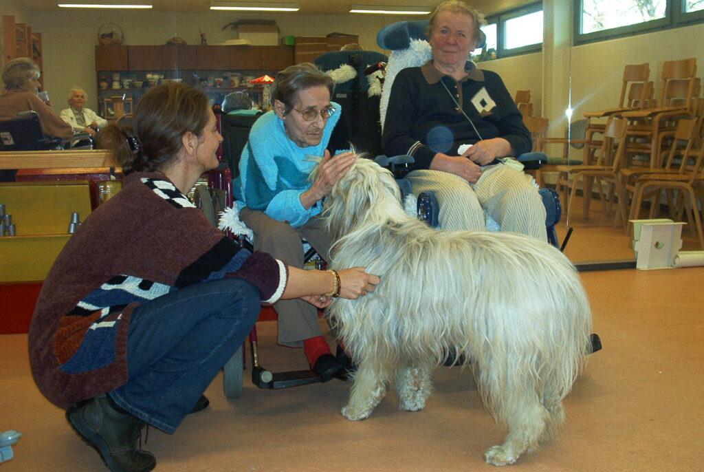 pflegeheim therapiehund