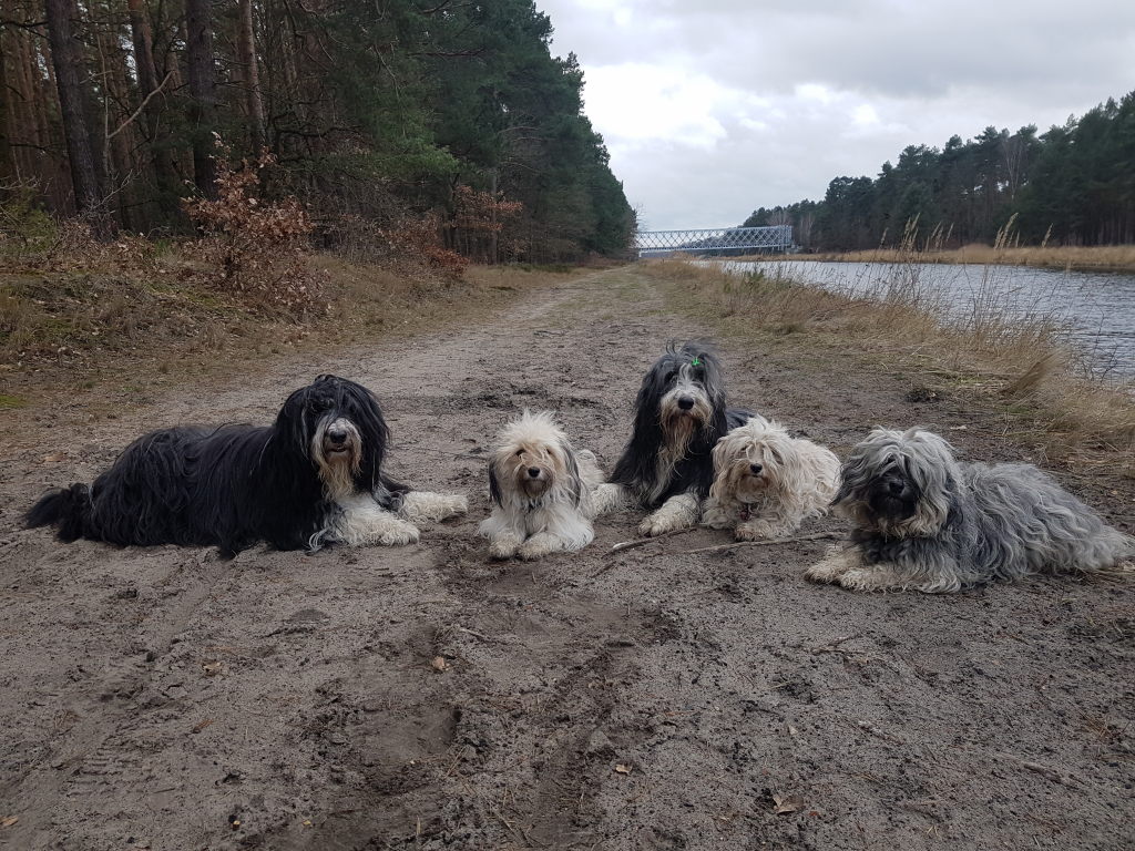 unsere heutige Wanderung am Grabowsee