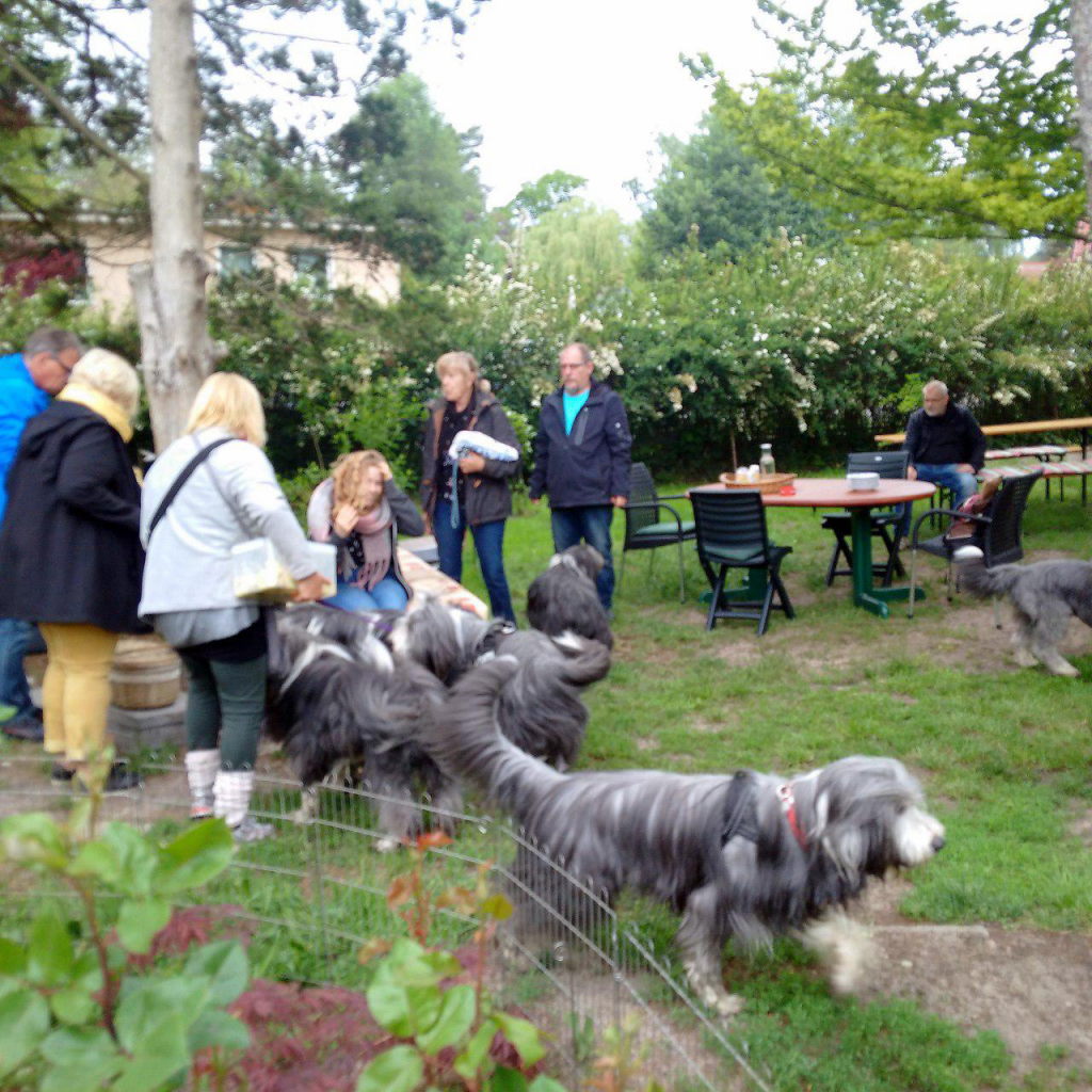 wir versuchen uns im Garten einzurichten